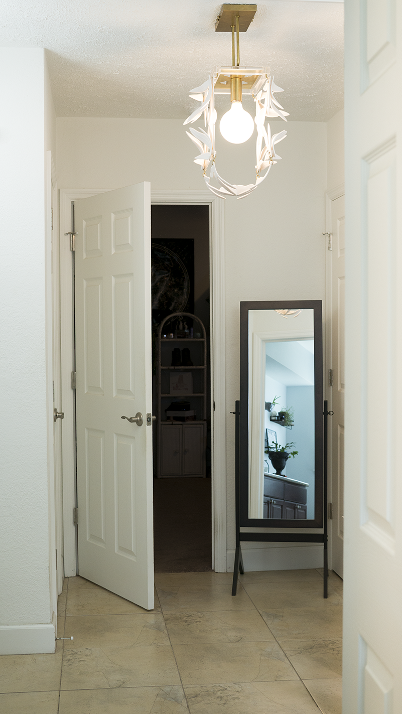 Kangaroo Paw Side Interior Design Image Lit - Grove Above
