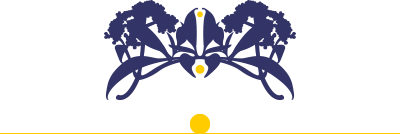 divider decoration